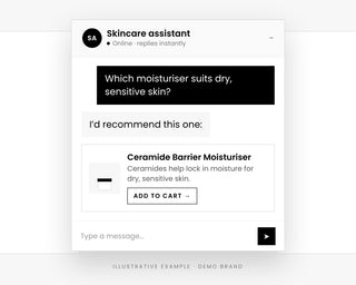 Skincare Sales Chatbot example